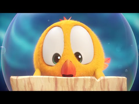 The treasure hunt | Where's Chicky? | Cartoon Collection in English for Kids | New episodes