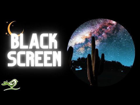 Deep Sleep Music for Falling Asleep &amp; Sleeping with Black Screen &bull; Ambient Relaxation Music