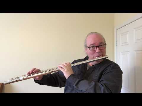 California Dreamin&amp;rsquo; Alto Flute Solo