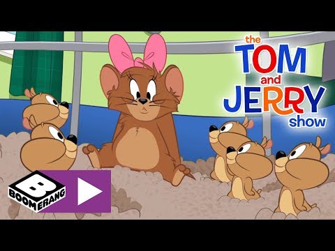 The Tom and Jerry Show | 10,000 Hamster Pups | Boomerang UK