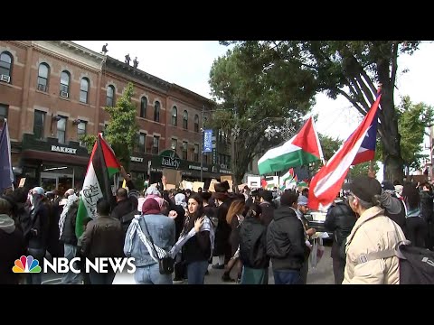 Hundreds of pro-Palestinian protesters take to the streets in NYC