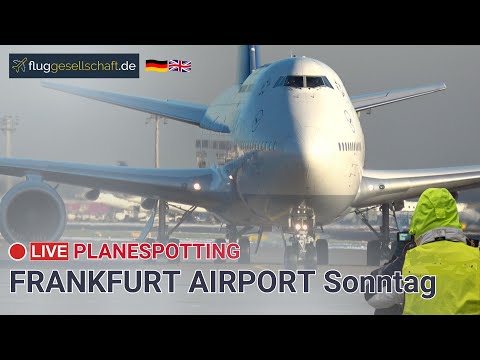 ❄️ LIVE Planespotting: Frankfurt Flughafen  | Sonntag mit LH9923 D-ABVM aus Xiamen 