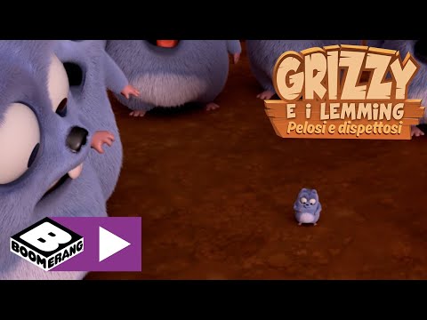 Rimpiccioliti | Grizzy e i Lemming | Boomerang