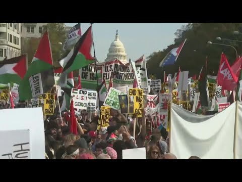 Thousands in US capital rally for ceasefire in Israel-Hamas war | AFP