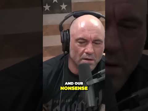 Higher Consciousness Experience of DMT Joe Rogan - Rob Lowe