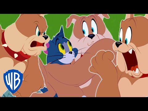 Tom &amp; Jerry | Best of Spike | WB Kids