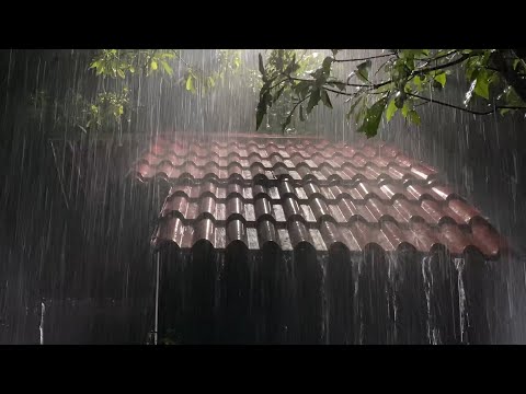 Deep Sleep Instantly with Heavy Rain &amp; Roaring Thunderstorm Sounds on Tin Roof in Forest at Night