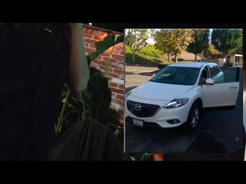 California Valet Allegedly Gives Car Away to Wrong Driver