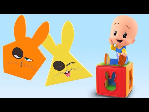 Learn with Cuquin and the rabbit's cube | Educational videos