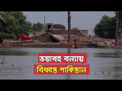 পর পর দুই বছরের দুটি ভয়াবহ বন্যায় বিধ্বস্ত পাকিস্তান || CMG BANGLA