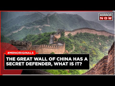 Great Wall Of China | What's Defending The Great Wall Of China | English News | China News