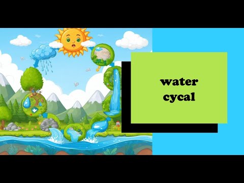 Water cycle for kids /kids science learning /