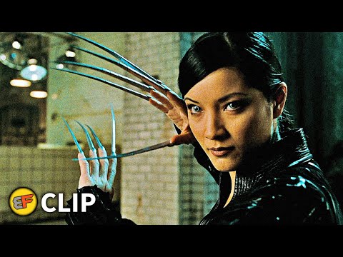 Wolverine vs Lady Deathstrike - Fight Scene | X-Men 2 (2003) Movie Clip HD 4K