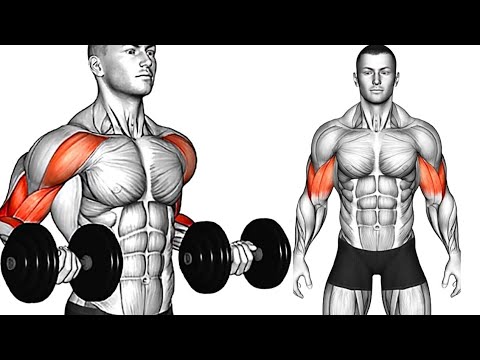 Great exercises to bulk up and increase strength in the arms