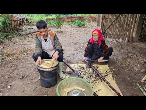 Orphan Boy - When it rains, he has to cut sugar cane and steam sugar cane to sell to make a living