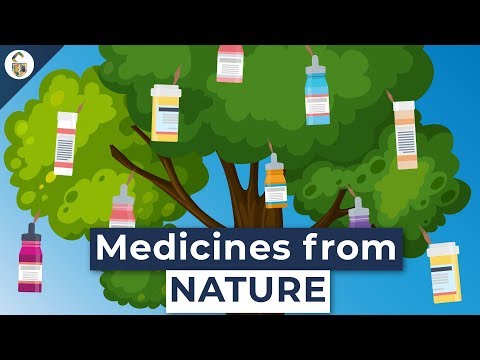 Lifesaving Medicines Made From Plants You've Never Heard Of