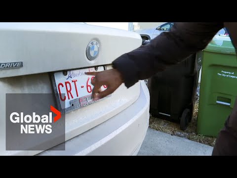 Rising trend of stolen licence plates sparks concerns