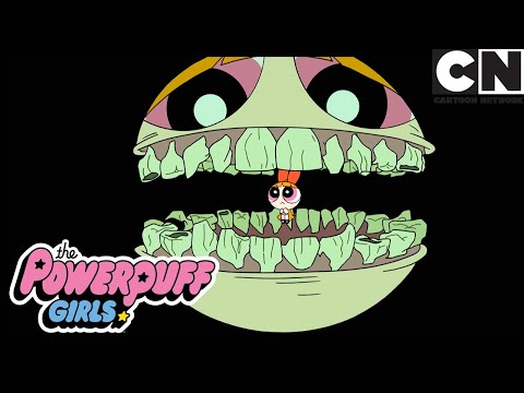 Something's Happening To Blossom | Powerpuff Girls | Cartoon Network