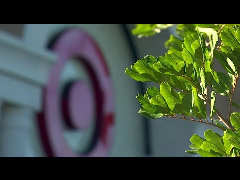 Irvine PD uncovers aggressive panhandling crime ring after Target incident