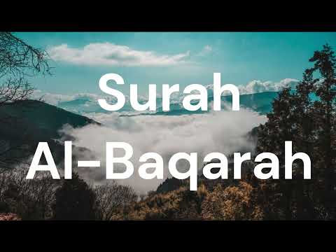 Surah Al-Baqarah. Mansoor Al-Salimi