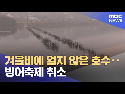 겨울비에 얼지 않은 호수‥빙어축제 취소 (2024.01.01/뉴스투데이/MBC)