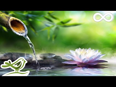 8 Hours of Relaxing Sleep Music &bull; Sleeping Music, Relaxing Music, Fall Asleep Fast