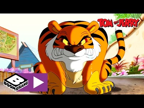 Tom &amp; Jerry | Tiger Chase | Boomerang UK