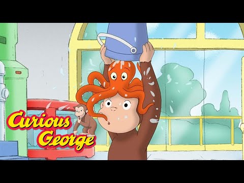 The Mysterious Octopus  🐵 Curious George 🐵 Kids Cartoon 🐵 Kids Movies