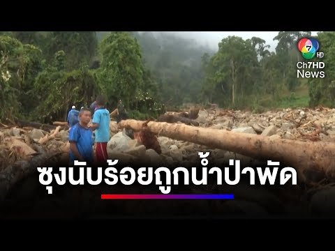 พบท่อนซุงนับร้อย ถูกน้ำป่าพัดไหลลงจากภูเขาทำฝายแตก จ.นราธิวาส | ข่าวเด็ด 7 สี