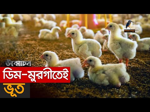 ডিম-মুরগীতেই ভুত!! | Unmochon | EP 60 | Egg and Poultry farm syndicate