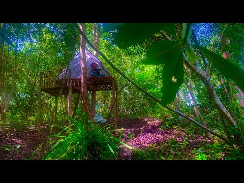 membangun shelter tempat berlindung di hujan deras || bushcraft survival ASMR