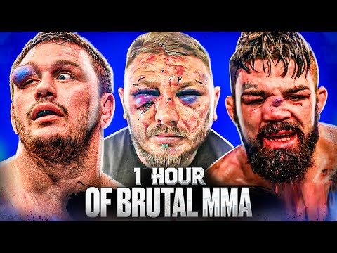 1 Hour Of Knockouts &amp; Brutal MMA Moments