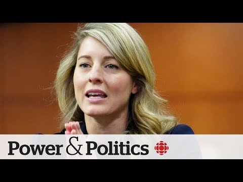 Canada will support investigations into Israeli military conduct, Joly says | Power &amp; Politics