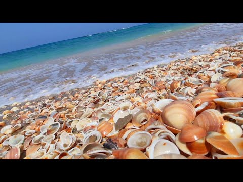 Relaxing to the sound of the sea waves almohandis beach 