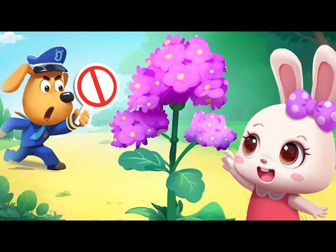 Don't Touch Wild Plants | Outdoor Safety Tips | Cartoons for Kids | Sheriff Labrador