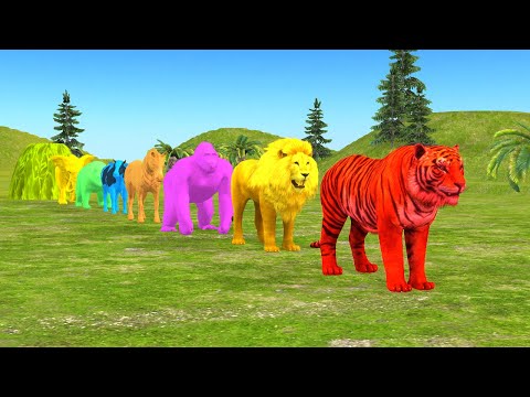 Paint Animals Gorilla Cow Tiger Lion Elephant Fountain Crossing Animal Game