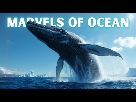 Discover the Hidden Secrets of BLUE WHALES: Marvels of Ocean