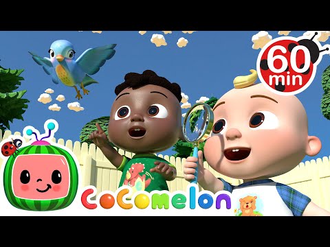 I Spy Song + More!  | CoComelon - It's Cody Time | CoComelon Songs for Kids &amp; Nursery Rhymes