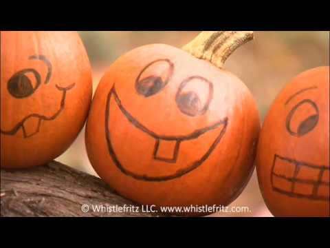 French Counting Song -- Cinq Citrouilles (Five Pumpkins) (Whistlefritz)