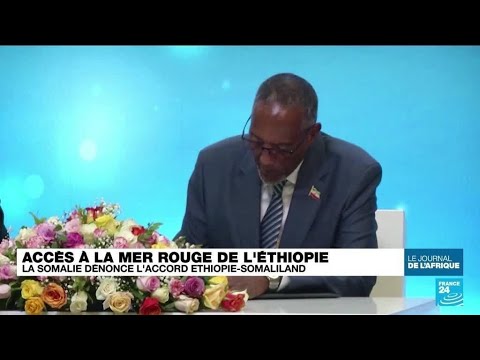 Acc&egrave;s &agrave; la mer rouge de l'&Eacute;thiopie : la Somalie d&eacute;nonce l'accord &Eacute;thiopie-Somaliland &bull; FRANCE 24