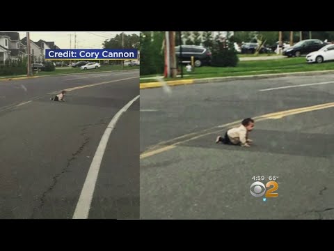 Driver Helps Rescue Baby Spotted Crawling Across Busy Road