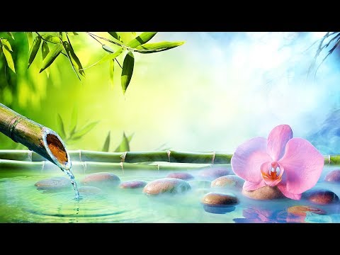 3 Hours Relaxing Piano Music 🎵 Healing Piano Music, Meditation Music, Relaxing Music (Daisy)