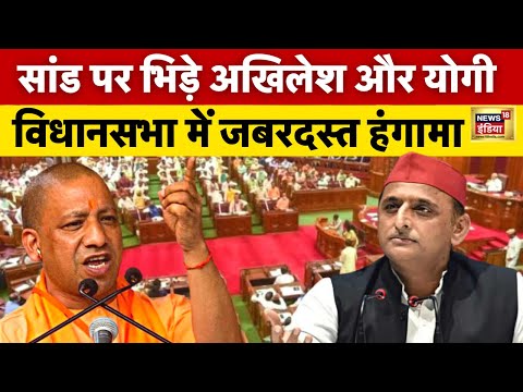 UP Vidhan Sabha LIVE: किस बात पर भिड़ गए अखिलेश और योगी | CM Yogi | Akhilesh| UP Monsoon Satra LIVE