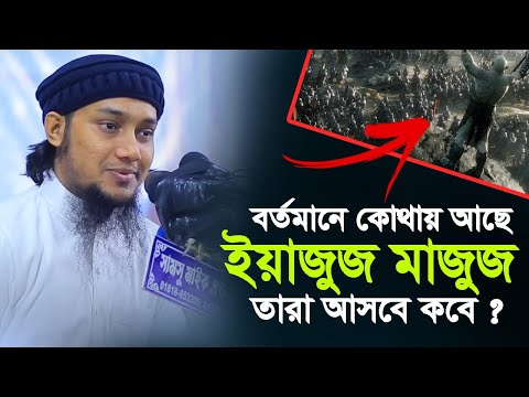 ইয়াজুজ মাজুজ এর কাহিনী | বর্তমানে কোথায় আছে আবু ত্বহা মুহাম্মদ আদনান || abu taha muhammad adnan