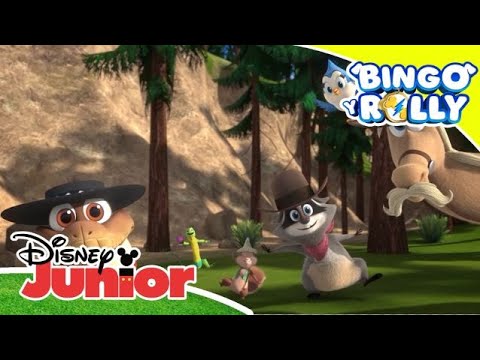 Bingo y Rolly: Compilado musical | Disney Junior Oficial