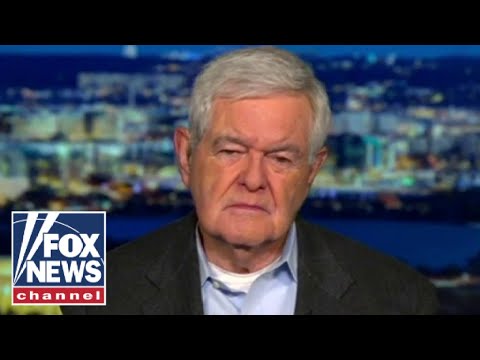 Newt Gingrich: We have a totalitarian left