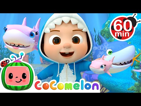 Baby Shark Song | Cocomelon | Best Animal Videos for Kids | Kids Songs and Nursery Rhymes