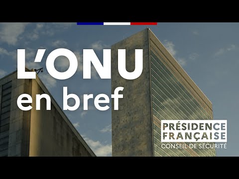 Qu'est-ce que l'ONU ?