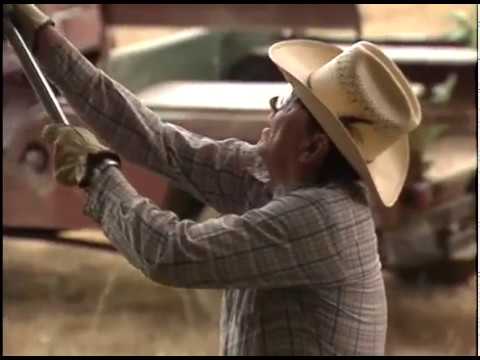 President Reagan Clearing Brush at Rancho Del Cielo on September 3, 1988