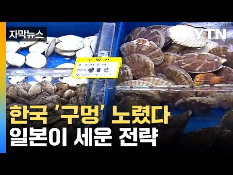 [자막뉴스] 日 새로운 '가리비' 판매 전략...정부 &quot;일본 측 계획에 불과&quot; / YTN